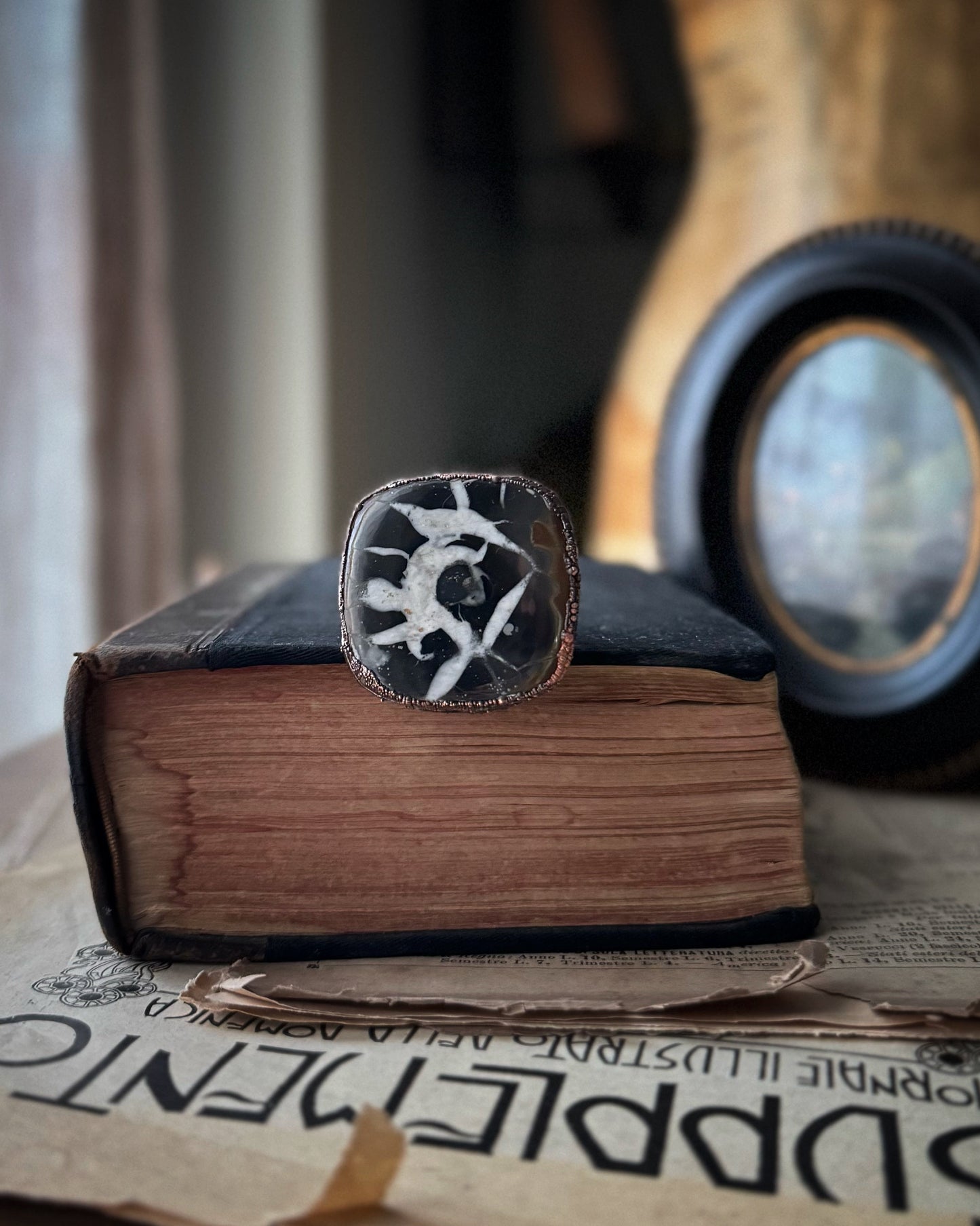 Anello con grande Septaria Fossile mis. 6