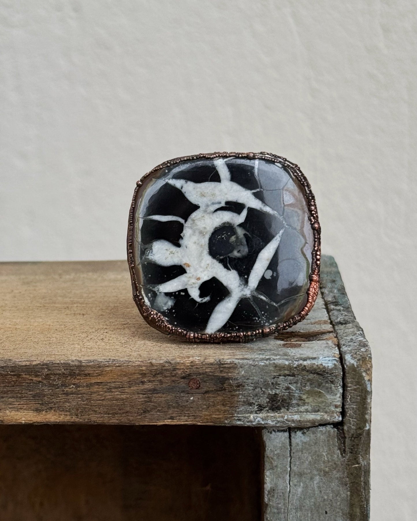 Anello con grande Septaria Fossile mis. 6