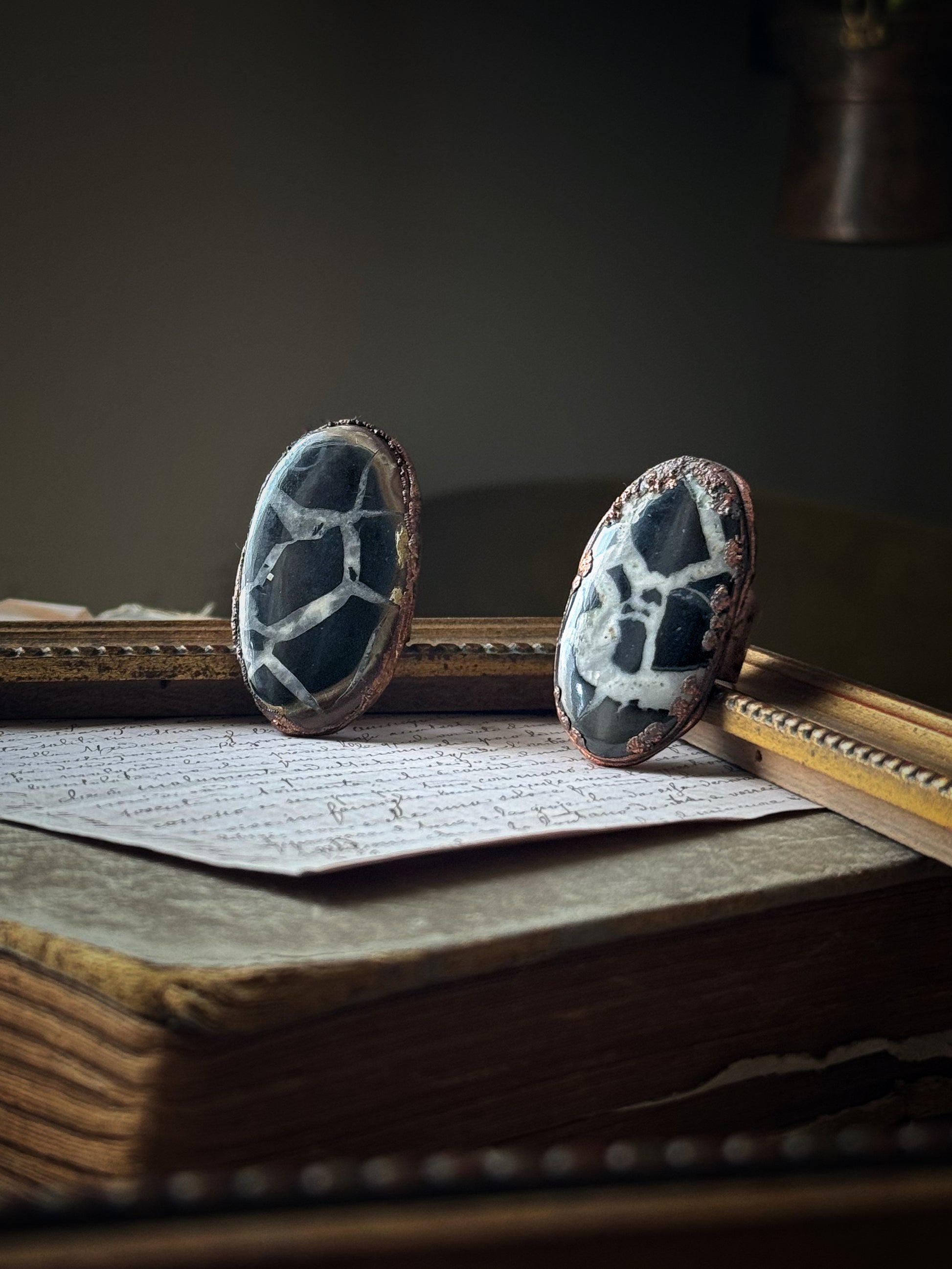 Anelli con Septaria Fossile naturale, misura 6 e 8 US – Ebbijoux